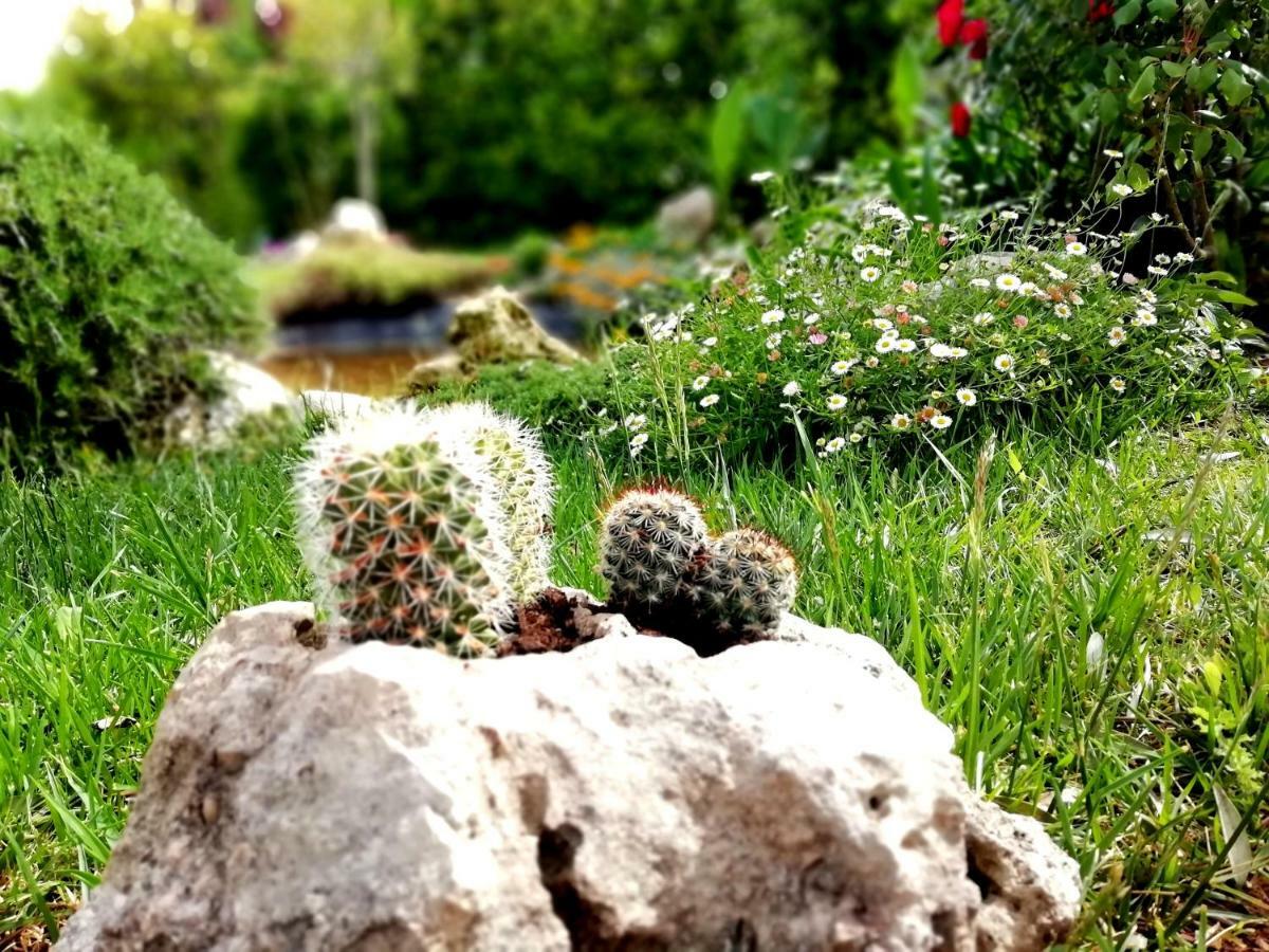 Villetta Dote Casarano Buitenkant foto